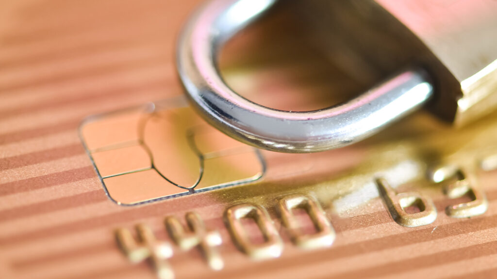 Credit Card Fraud Protection